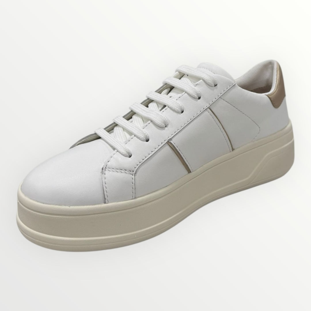 GEOX - SNEAKER SPHERICA